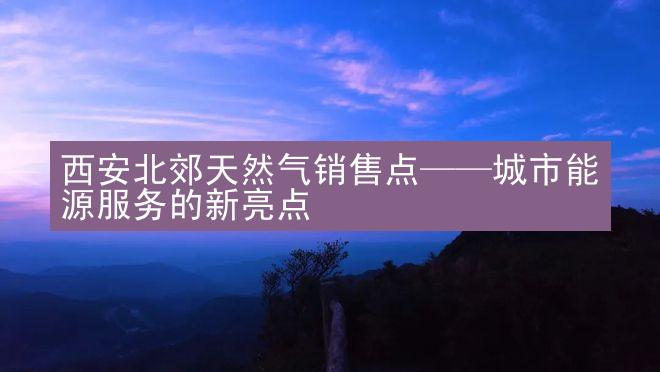 西安北郊天然气销售点——城市能源服务的新亮点